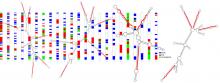 You are currently viewing  microRNA structural clusters