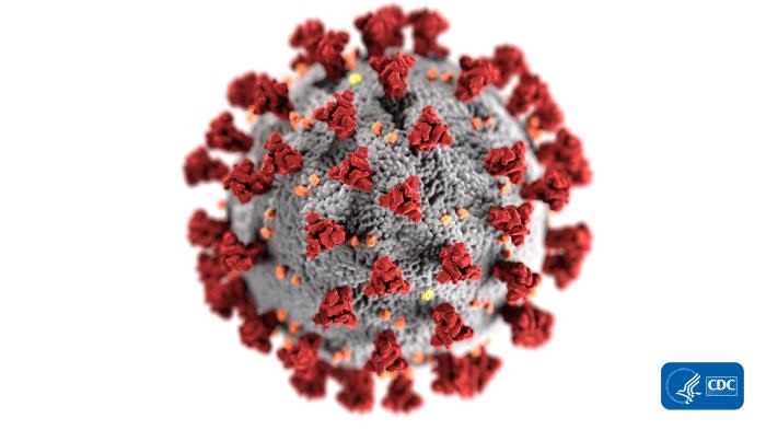 Read more about the article Statistical Genomics and Biological Physics