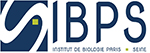 Read more about the article Origin and evolution of a reversible DNA rearrangement mechanism