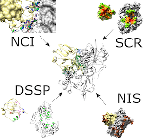 Read more about the article Local Interaction Signal Analysis