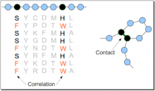 Read more about the article Direct Coupling Analysis