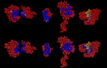 Read more about the article International Science Grid
