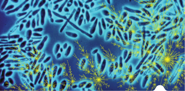 You are currently viewing 3rd Cross Disciplinary Genomics