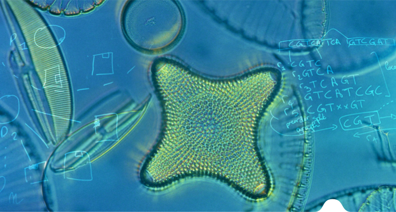 Read more about the article 2nd Cross Disciplinary Genomics meeting