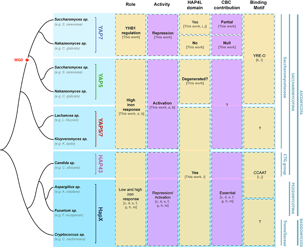 You are currently viewing The resistance of pathogenic microbes
