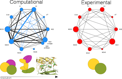 Read more about the article Computational approach