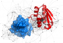 Read more about the article Protein-Protein Interactions on the Genome Scale