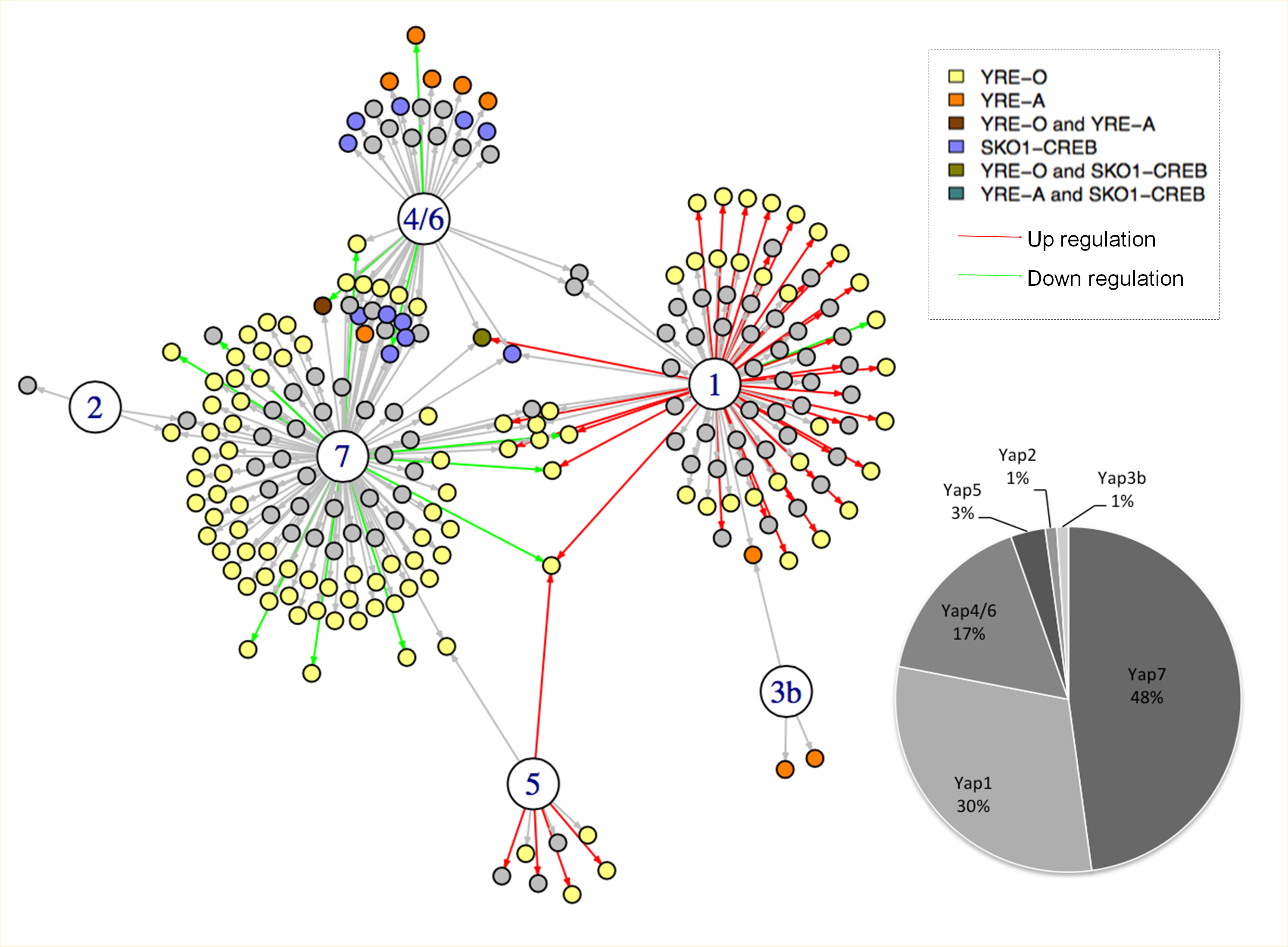 Read more about the article Transcriptional regulatory networks