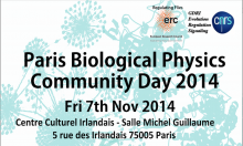 Read more about the article Paris Biological Physics Community Day 2014