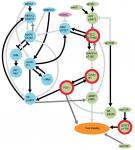 You are currently viewing Pertubation biology