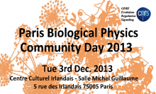 Read more about the article Paris Biological Physics Community Day 2013