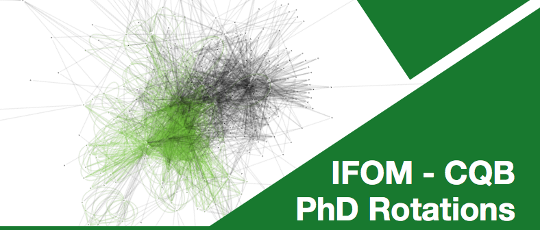 Read more about the article IFOM and CQB