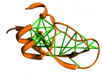 Read more about the article Analysis of coevolution in proteins
