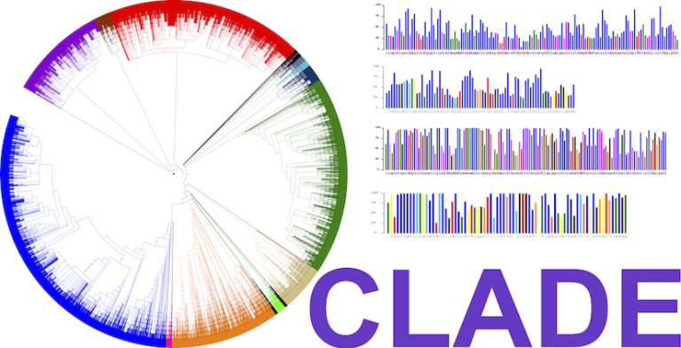 Read more about the article CLADE