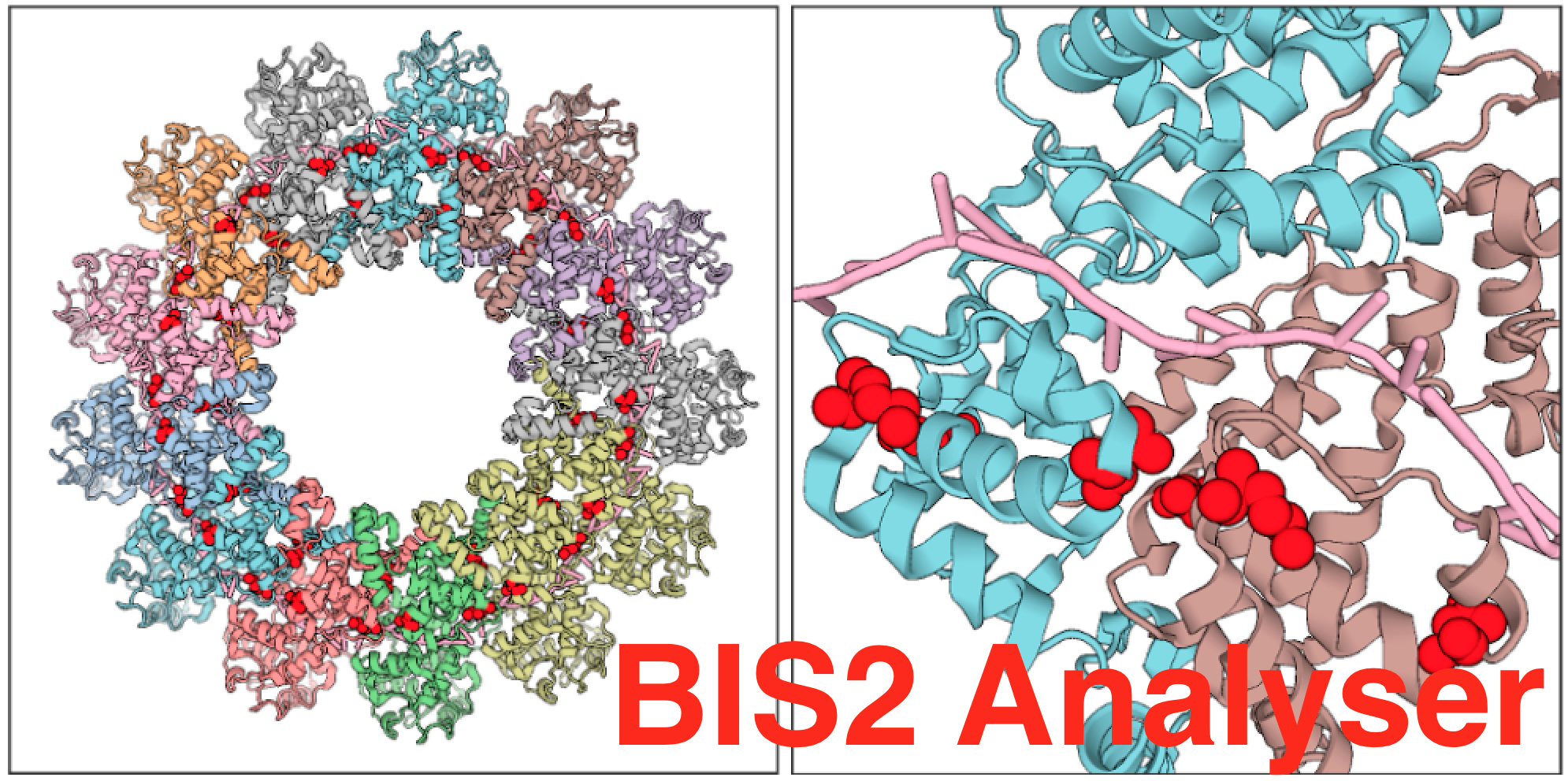 Read more about the article BIS2Analyzer