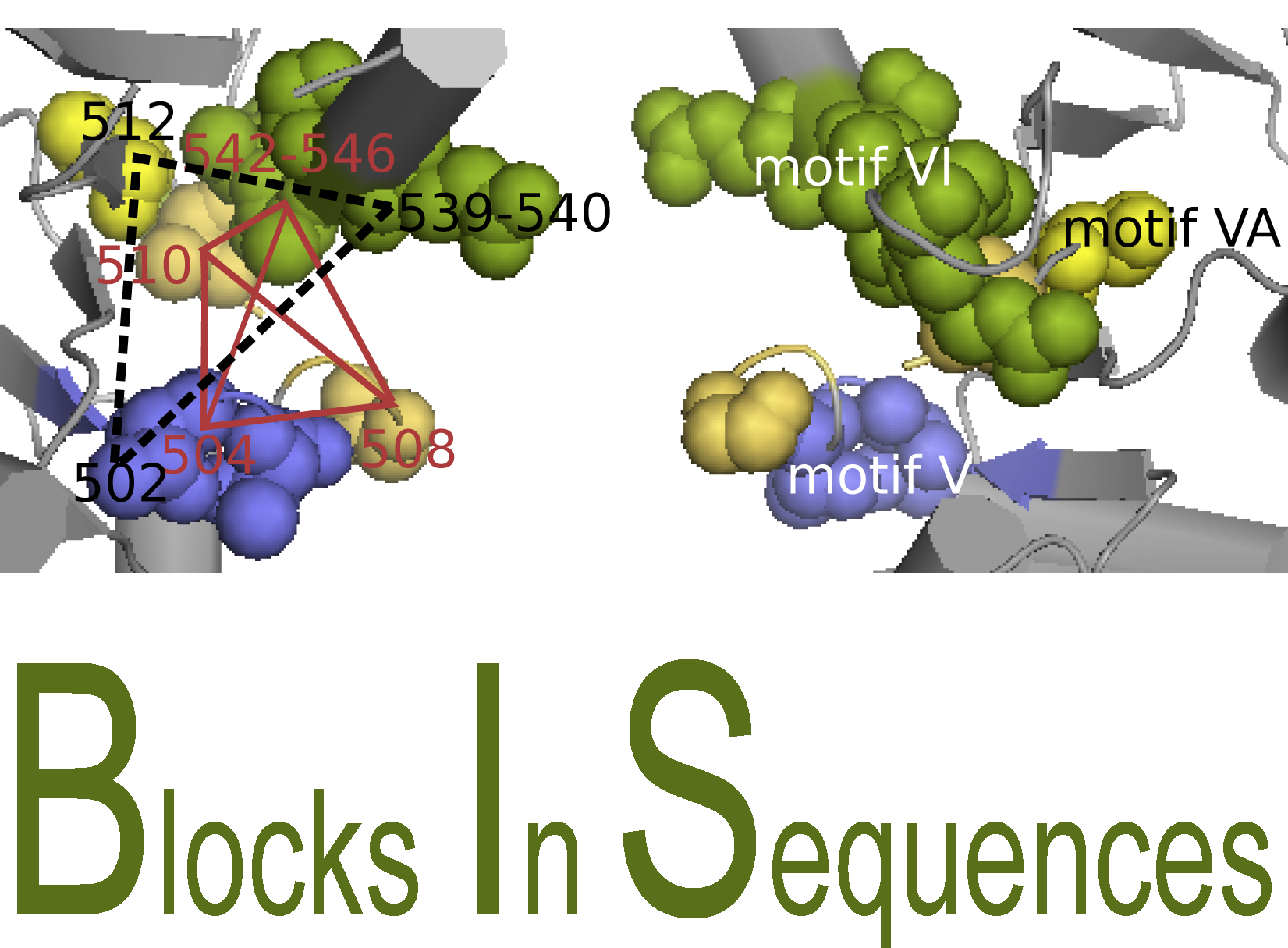 You are currently viewing Blocks in Sequences (BIS)