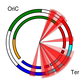 Read more about the article Nucleoid Survey Tool (NuST)