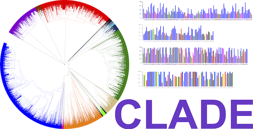 Read more about the article CLADE
