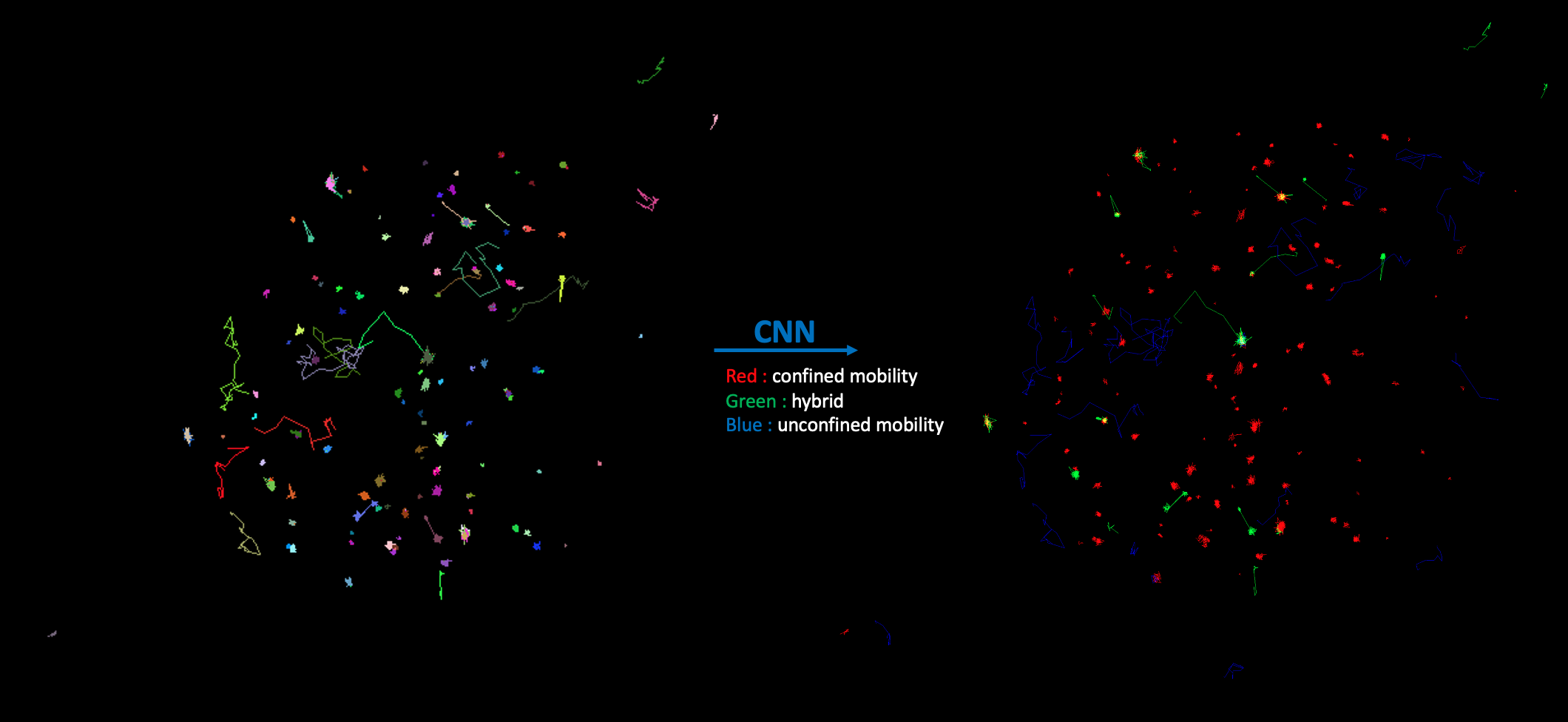 Histone Trajectory Classifier