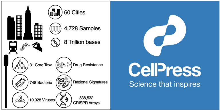Read more about the article Global study of 60 cities