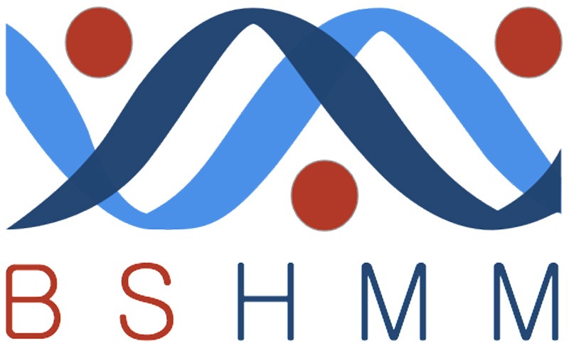 You are currently viewing BSHMM